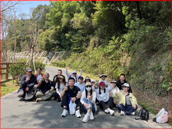 6388880408794208528181515