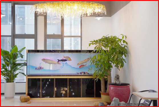 cf4df5b9-de9e-49a6-8f97-ff98e762ee62